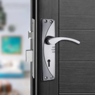 EVOTECH Brass Polished Door levers  (Silver)